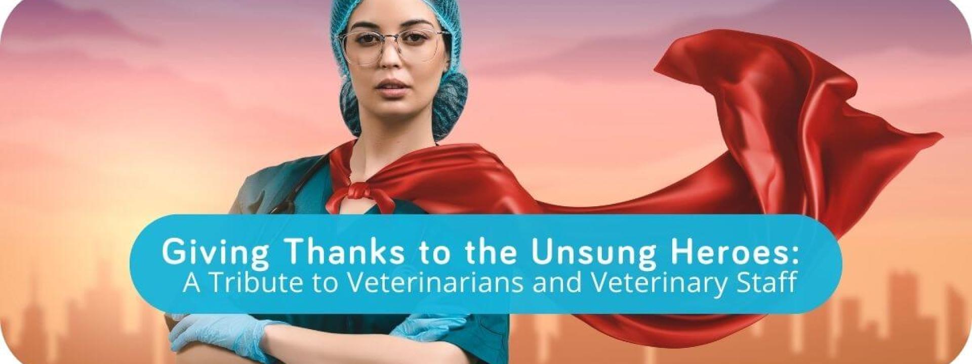 Giving Thanks to the Unsung Heroes: A Tribute to Veterinarians and Veterinary Staff