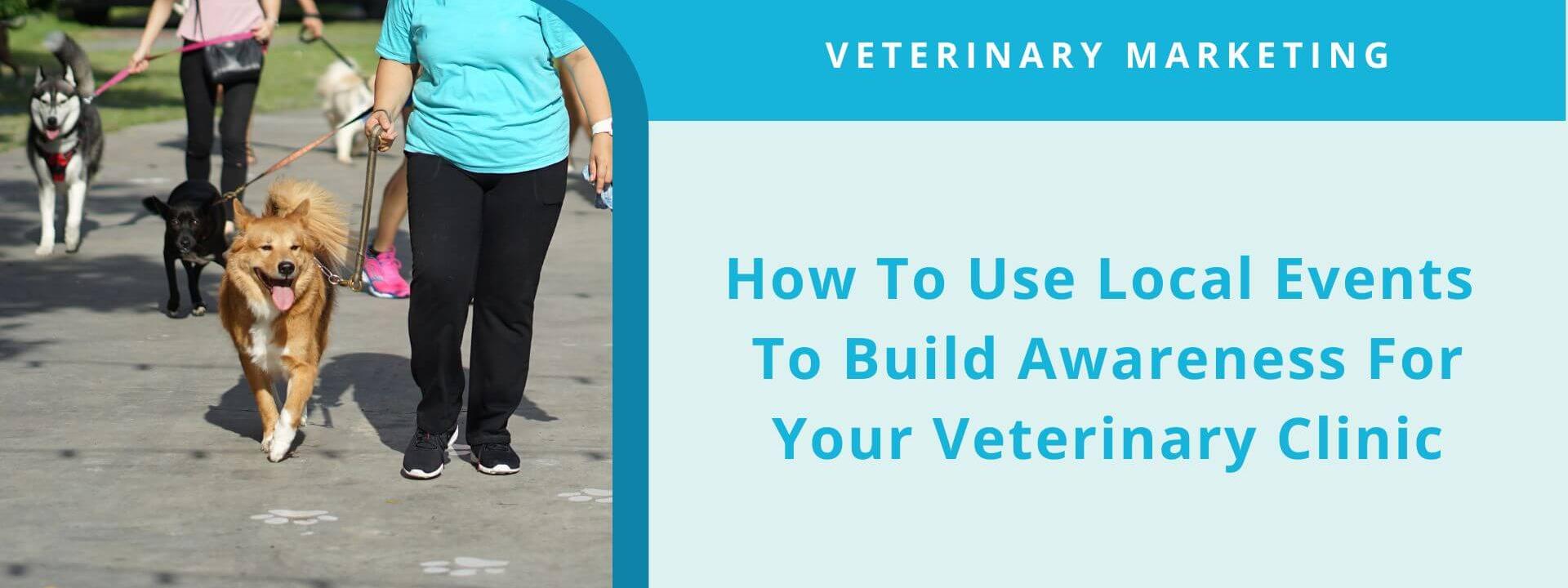 How To Use Local Events To Build Awareness For Your Veterinary Clinic