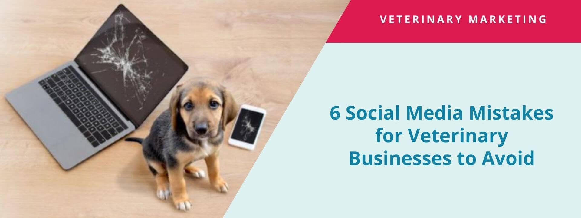 Oops! 6 Social Media Mistakes for Veterinary Businesses to Avoid