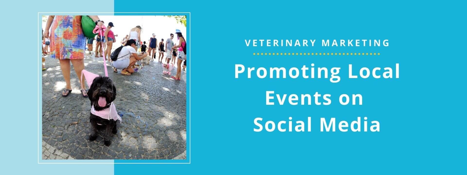 How Veterinary Practices Can Promote Local Events On Social Media