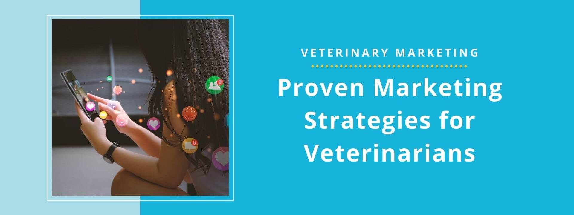 The Marketing Strategy That Is Helping Independent Veterinarians Outperform Larger Corporate Chains