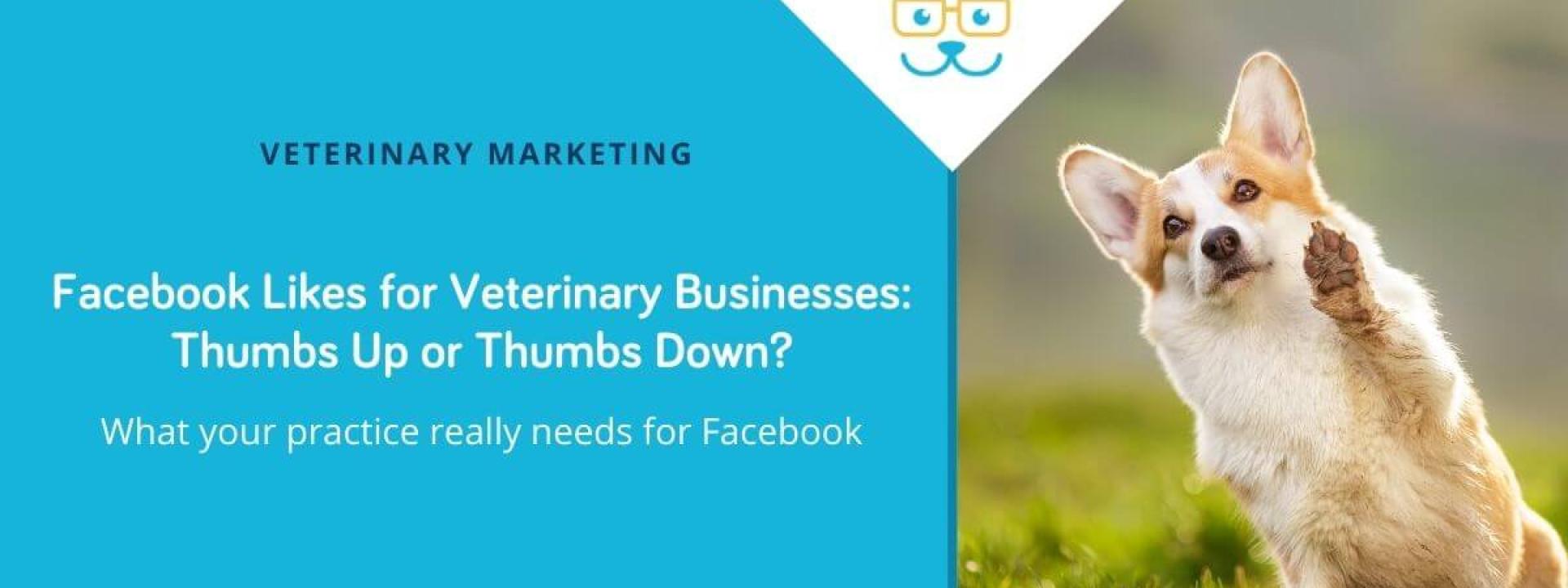 Facebook Likes for Veterinary Businesses: Thumbs Up or Thumbs Down?