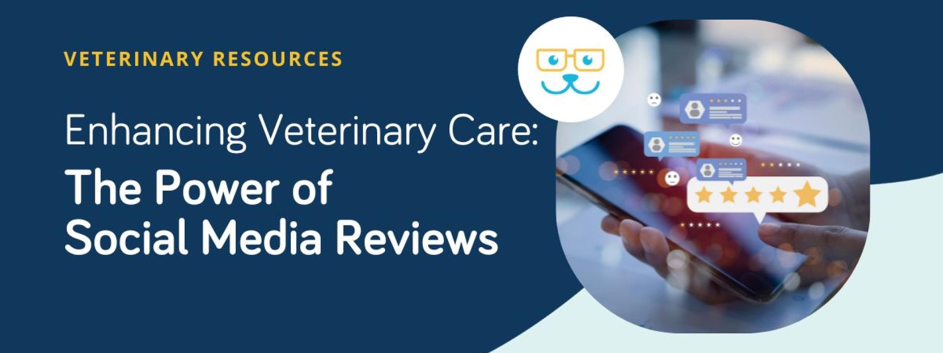 Enhancing Veterinary Care: The Power of Social Media Reviews