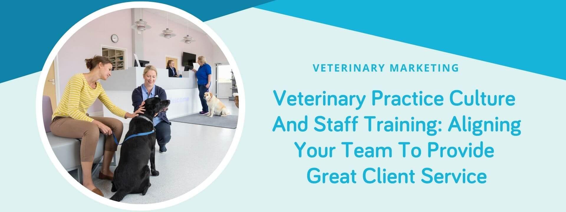 Veterinary Practice Culture and Staff Training: Aligning Your Team to Provide Great Client Service