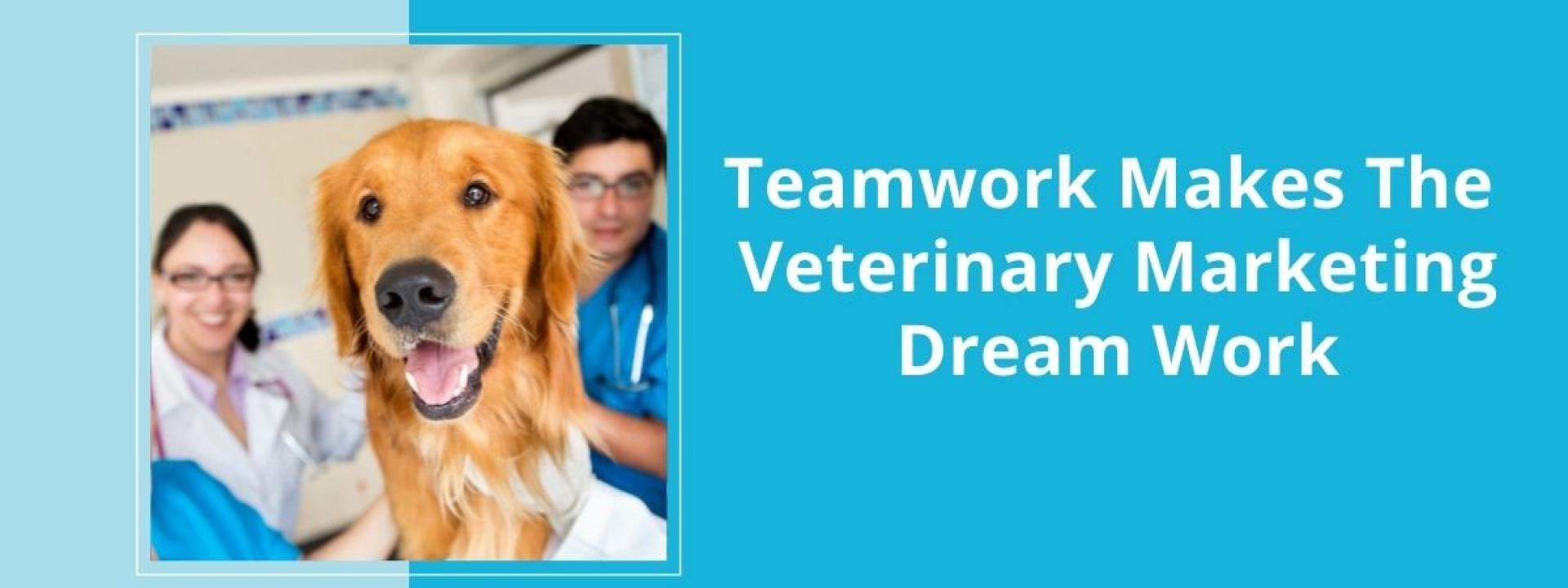 Teamwork Makes The Veterinary Marketing Dream Work