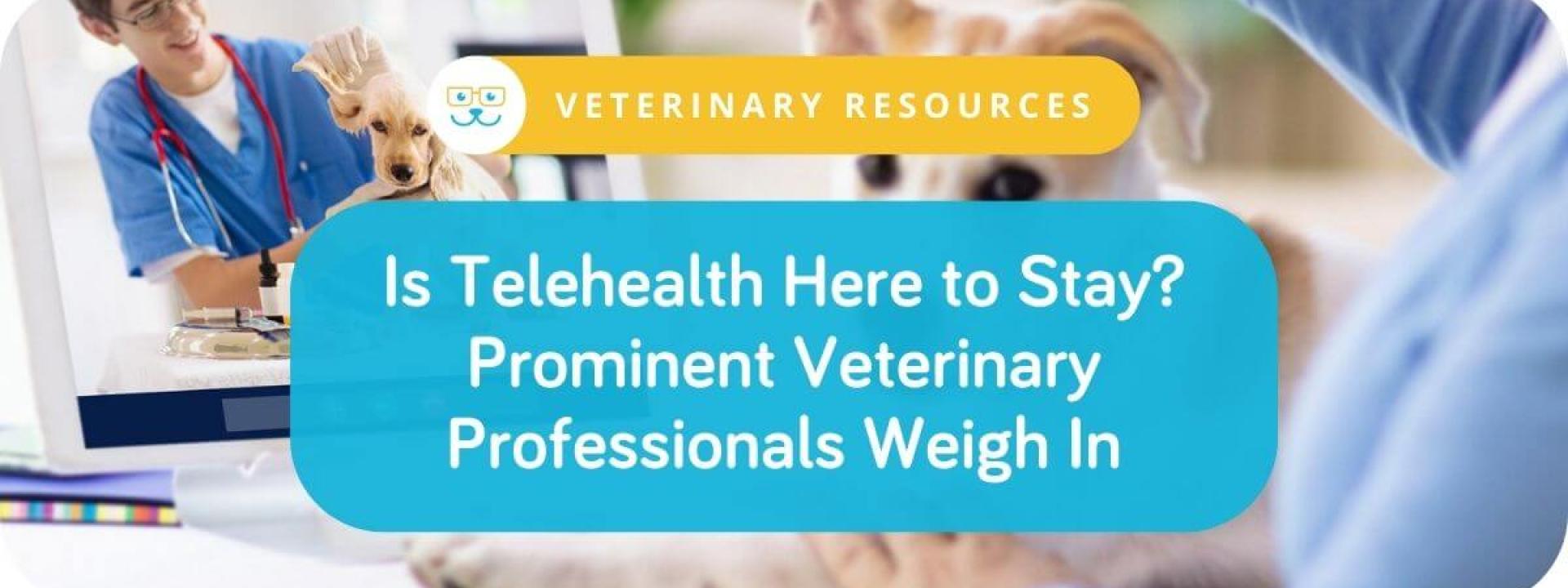 Is Telehealth Here to Stay? Prominent Veterinary Professionals Weigh In
