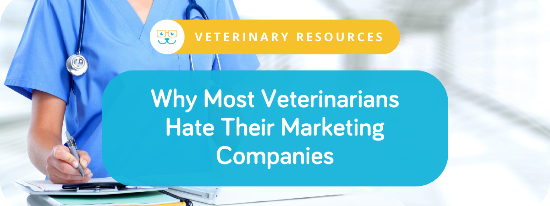 Why Most Veterinarians Hate Their Marketing Companies
