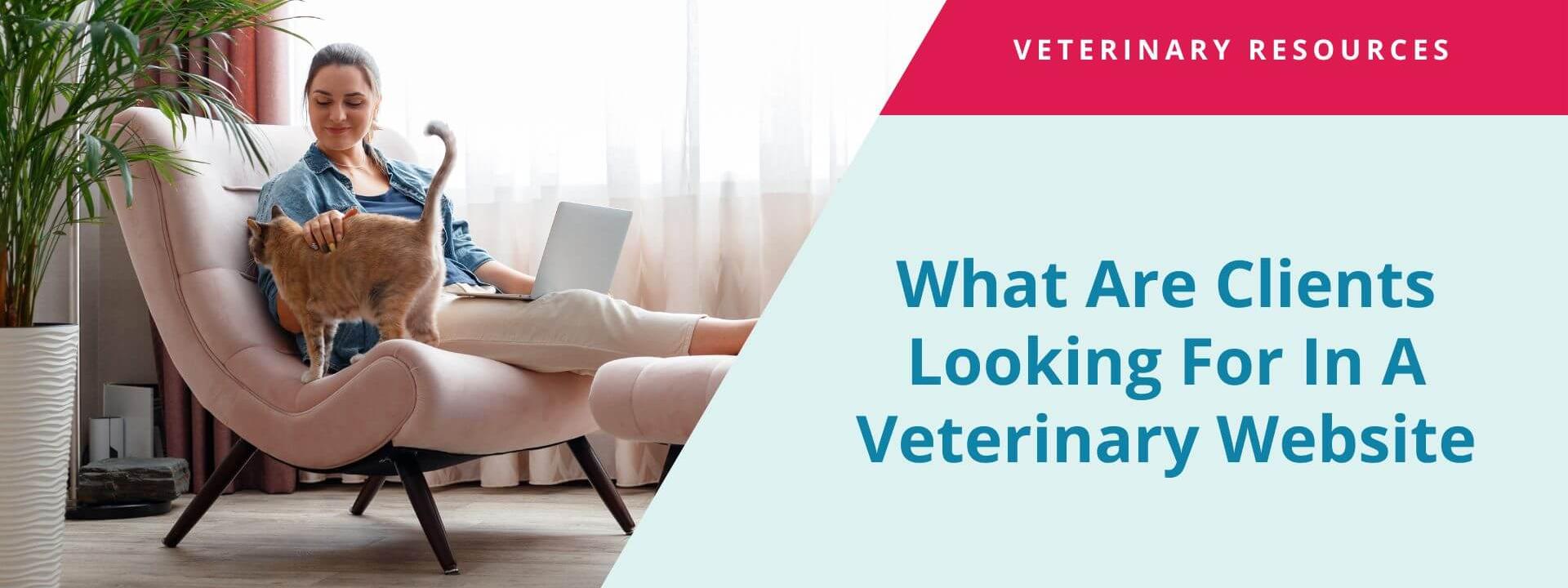 What Are New Clients Looking For In A Veterinary Website?