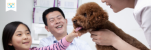 importance of dog wellness exams