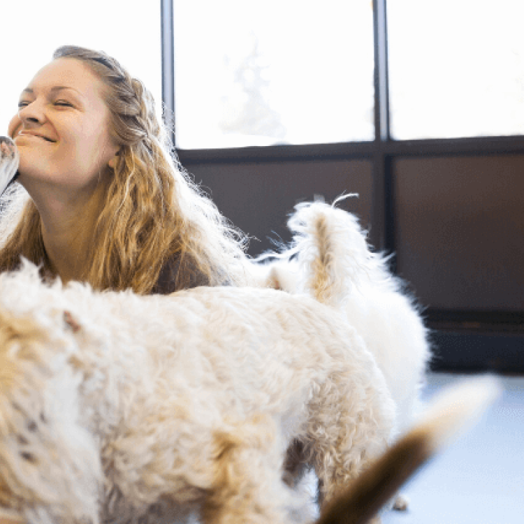 How to Tell if Your Dog is Enjoying Their Time at Doggy Daycare