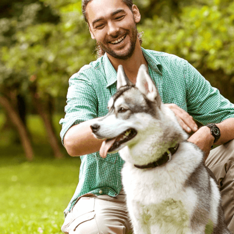 How To Find The Best Pet Trainer