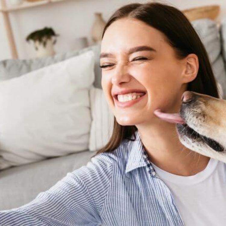 Pet Photography Tips To Take Your Pet Photos To The Next Level pet-photos-at-the-park