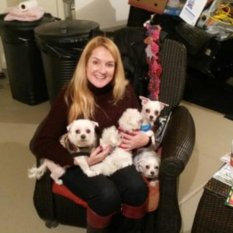 Frankfort Animal Care Center – Frankfort, IL Frankfort Animal Care Center – Frankfort, IL
