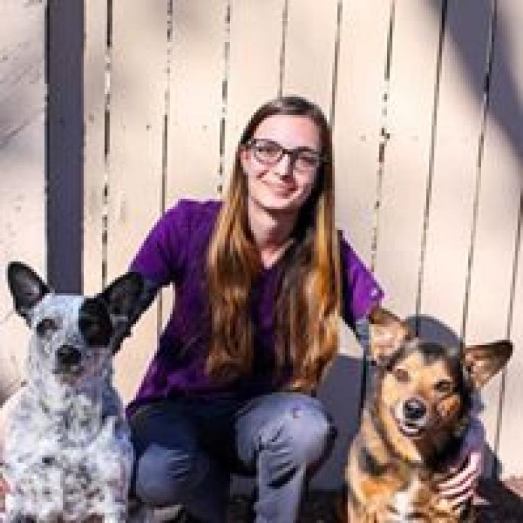 Aspen vet clinic cheap