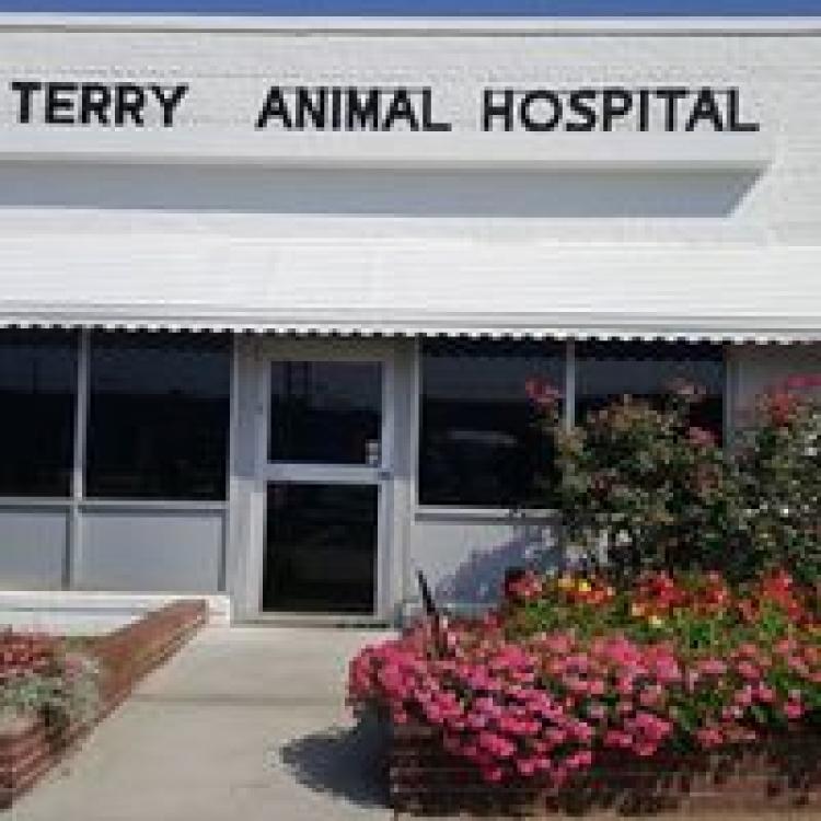 Terry Animal Hospital – Wilmette, IL