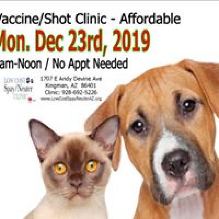 Low Cost Spay & Neuter Kingman, AZ