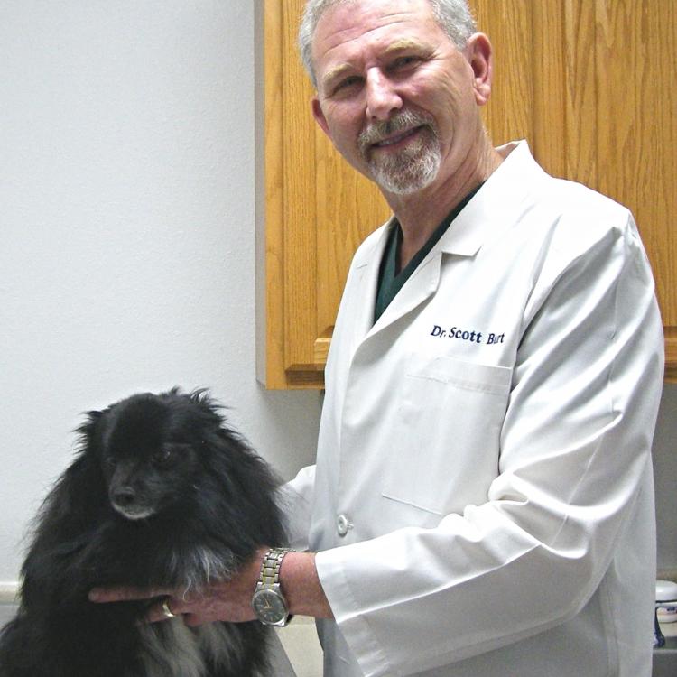 Highland Animal Hospital Inc Highland, IN