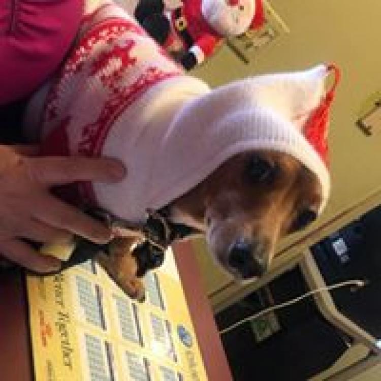 Animal Care Hospital – Phoenix, AZ Animal Care Hospital – Phoenix, AZ