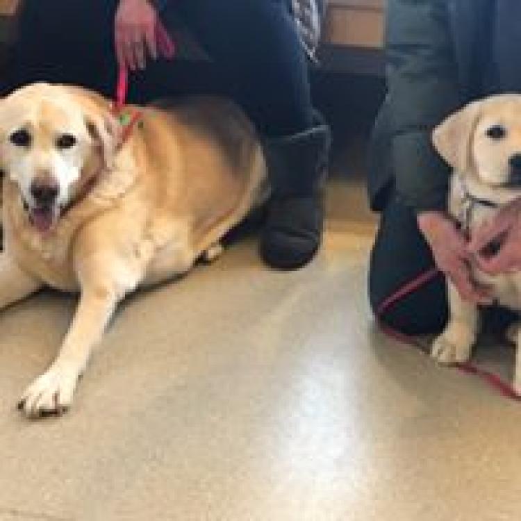Riverbend Animal Hospital – Hadley, MA