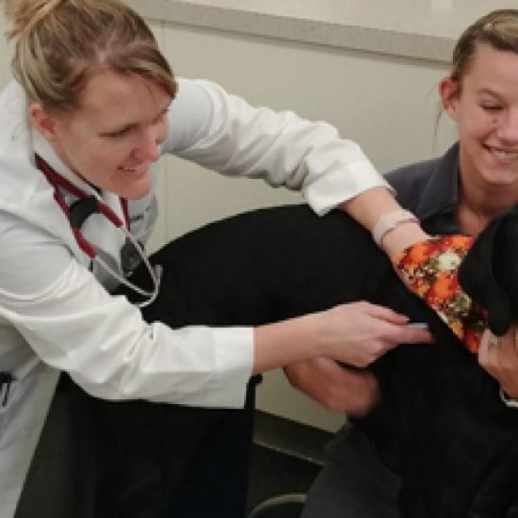 Eastown Veterinary Clinic Grand Rapids, MI