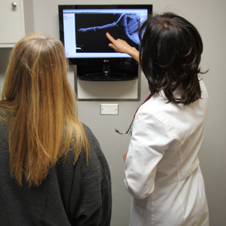 Veterinary Emergency Service West Plymouth, MI