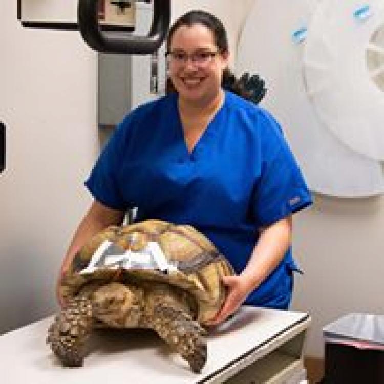 belton mo small animal clinic Lane Peyton