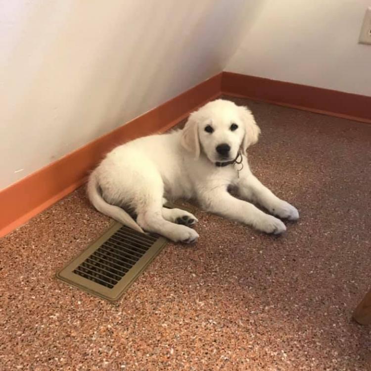 Creekside Veterinary Hospital – Bozeman, MT