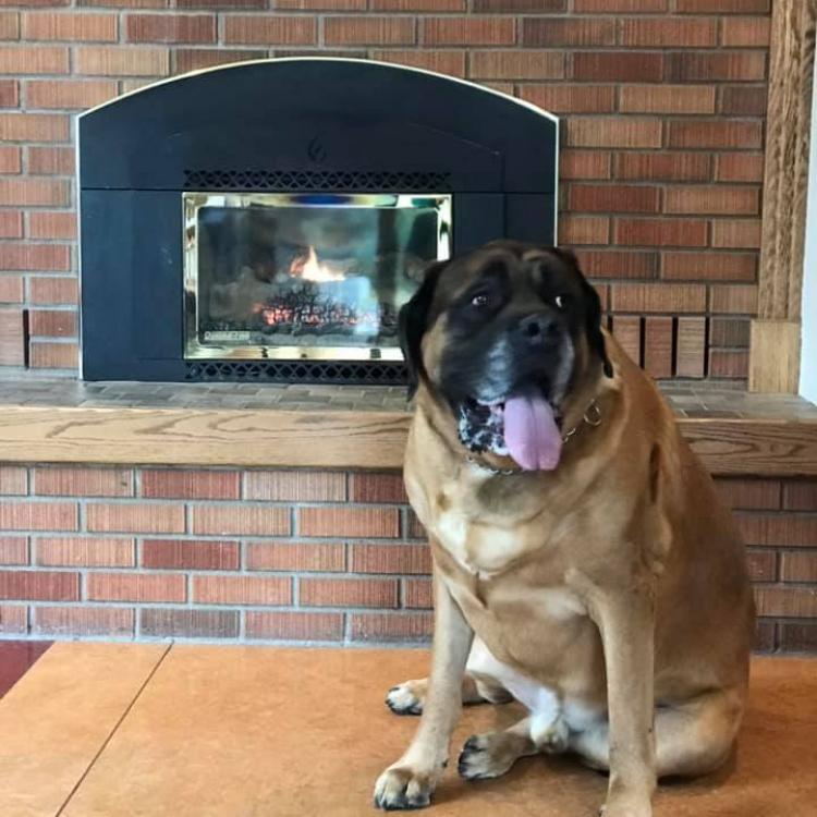 Creekside Veterinary Hospital Bozeman, MT