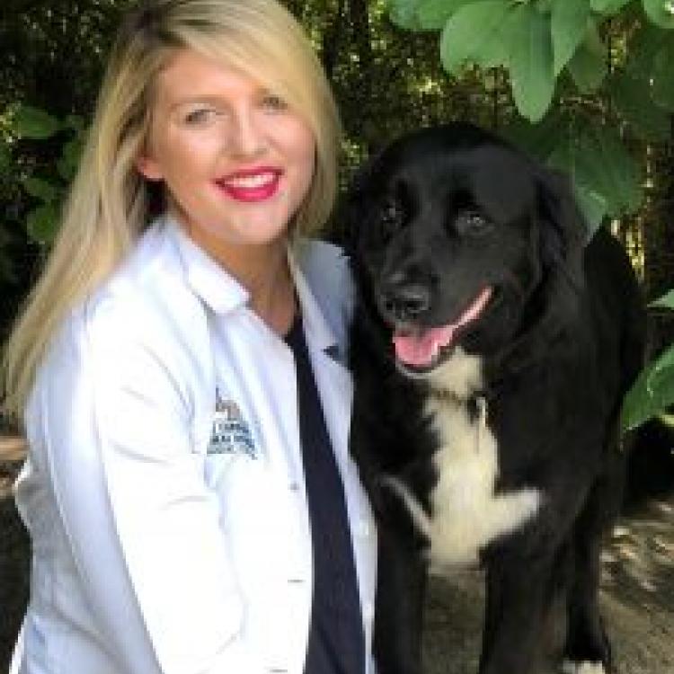 Carolinas Animal Hospital & Dental Clinic Charlotte, NC