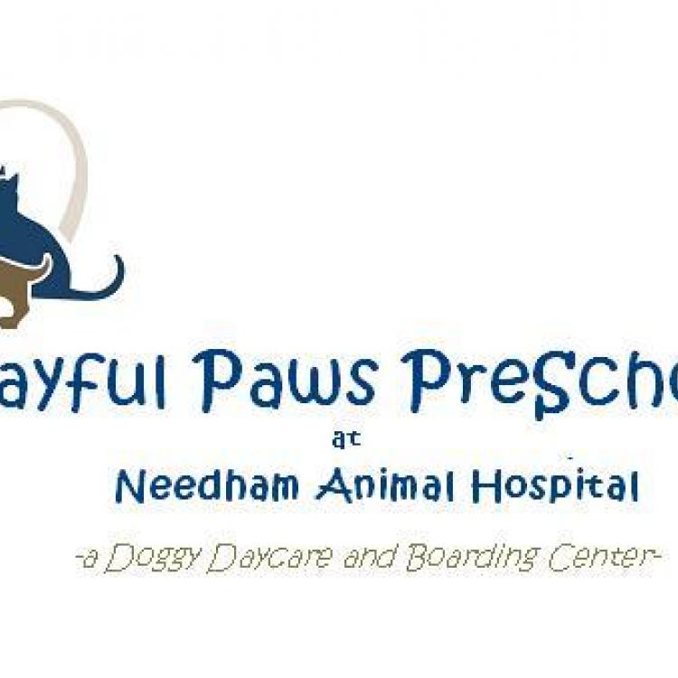 needham animal hospital daycare