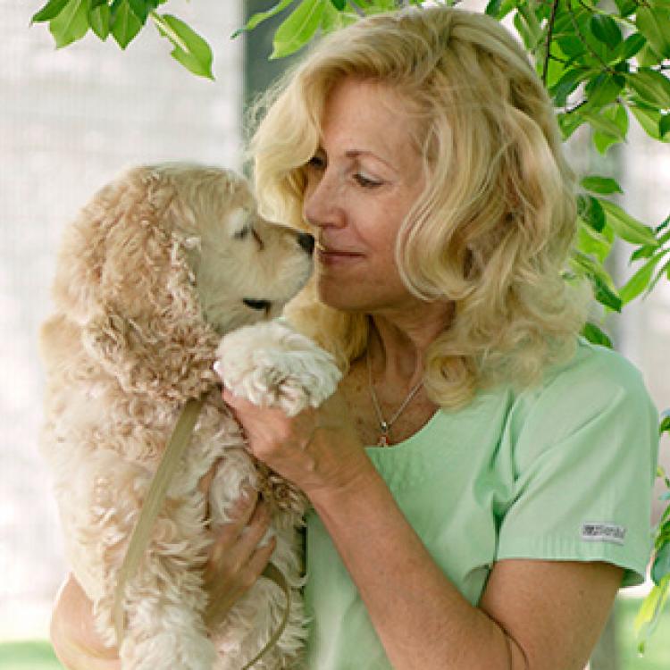 Cresskill Animal Hospital Cresskill, NJ