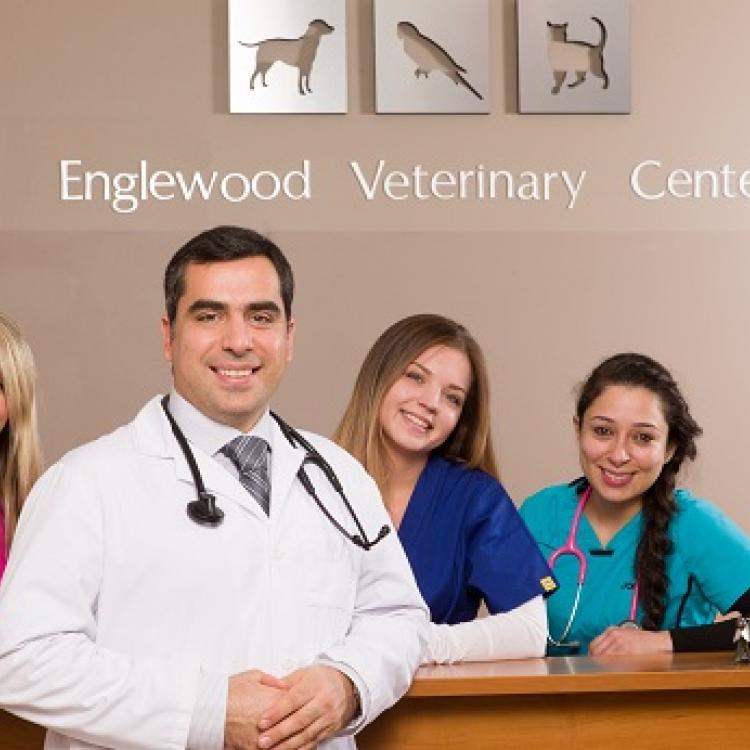 Englewood Veterinary Center Englewood, NJ
