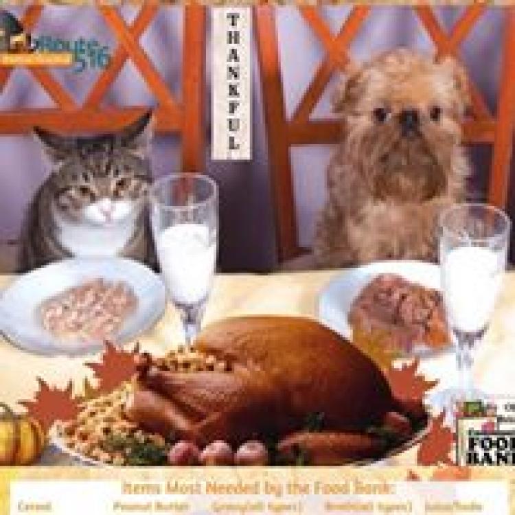 Route 516 Animal Hospital Old Bridge Nj Dr manuel vet old bridge. route 516 animal hospital old bridge nj