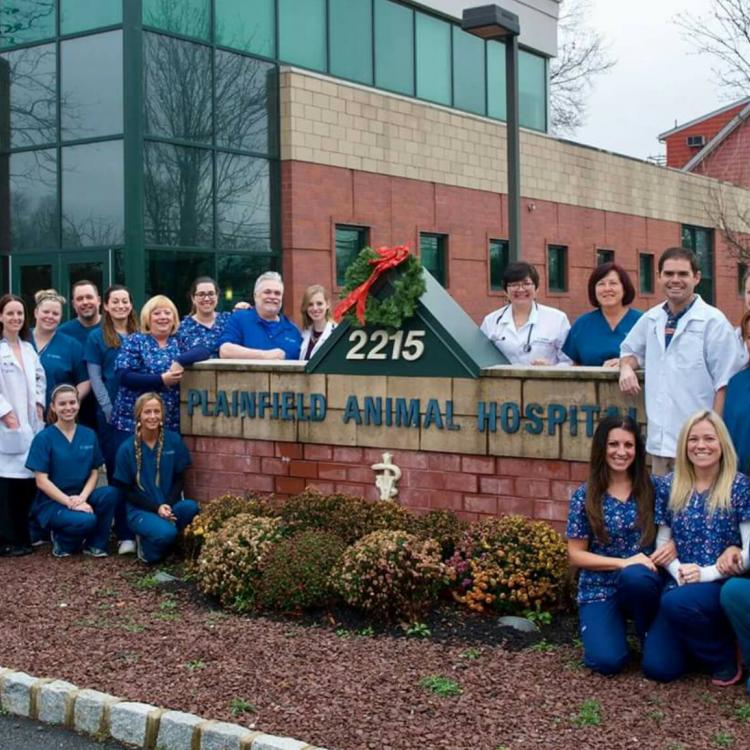 Animal Medical Group – South Plainfield, NJ Animal Medical Group – South Plainfield, NJ