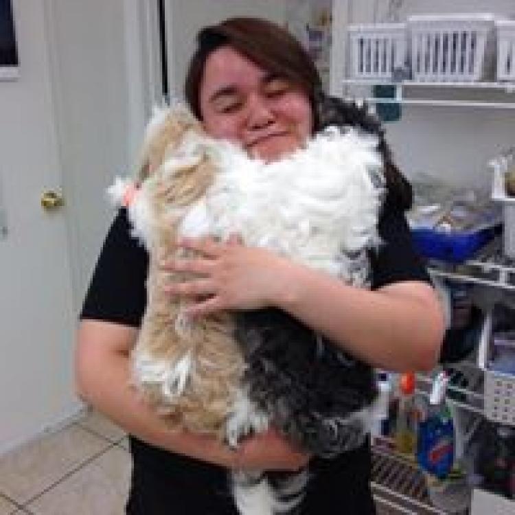 East Lohman Veterinary Clinic Las Cruces, NM