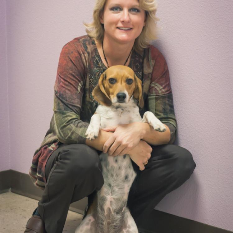 Virgin Valley Veterinary Hospital – Mesquite, NV Virgin Valley Veterinary Hospital – Mesquite, NV