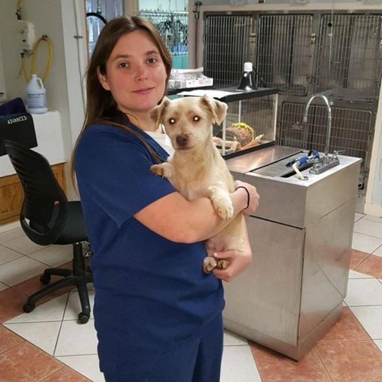 emergency care auburn ny