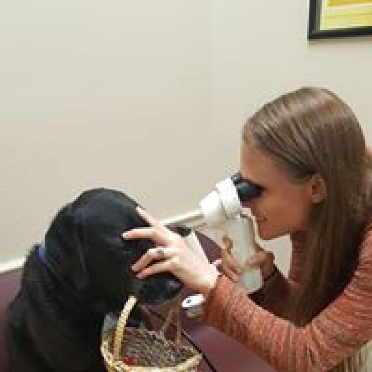 Eye Care For Animals – Culver City, CA Eye Care For Animals – Culver City, CA