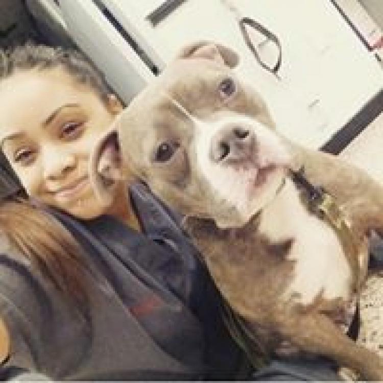 practice gallery photo