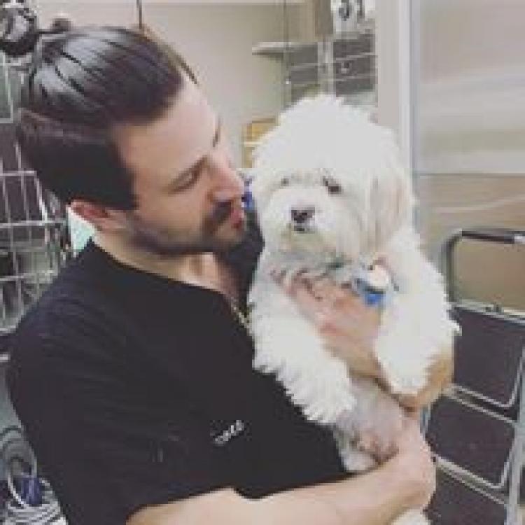 practice gallery photo