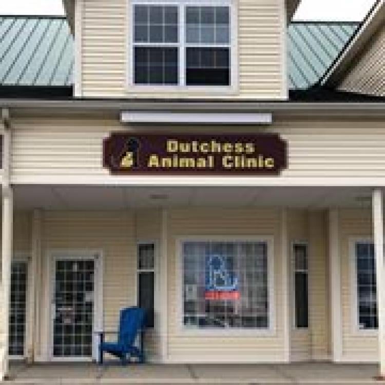 Dutchess Animal Clinic Wappingers Falls Ny