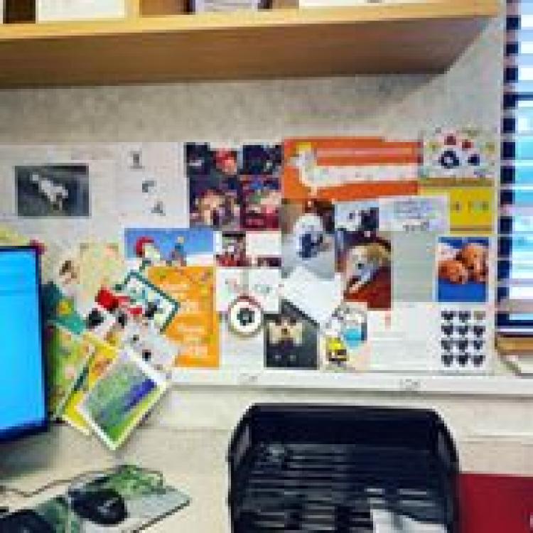 animal health care projects jeffrey l grogan architects pet health care pet health veterinary hospital on healthy pets of lewis center vets