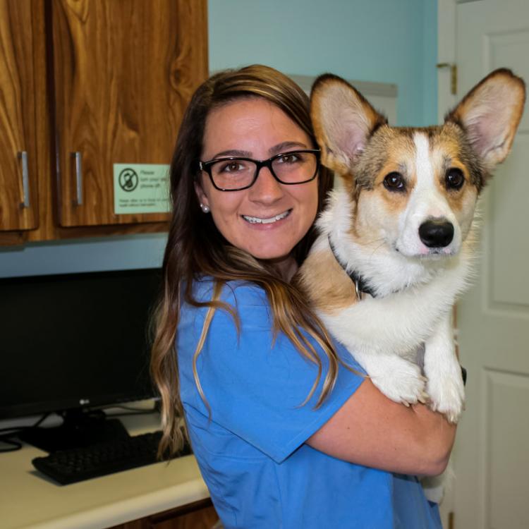 Docton Animal Clinic Xenia, OH