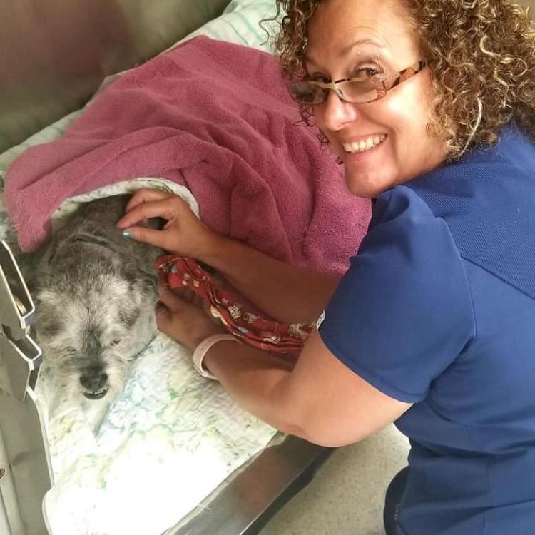 Valley Central Vet Emergency & Referral Center Whitehall, PA