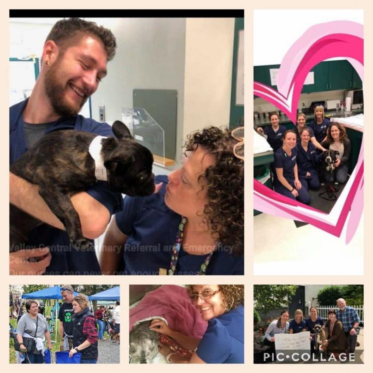 Valley Central Vet Emergency & Referral Center Whitehall, PA