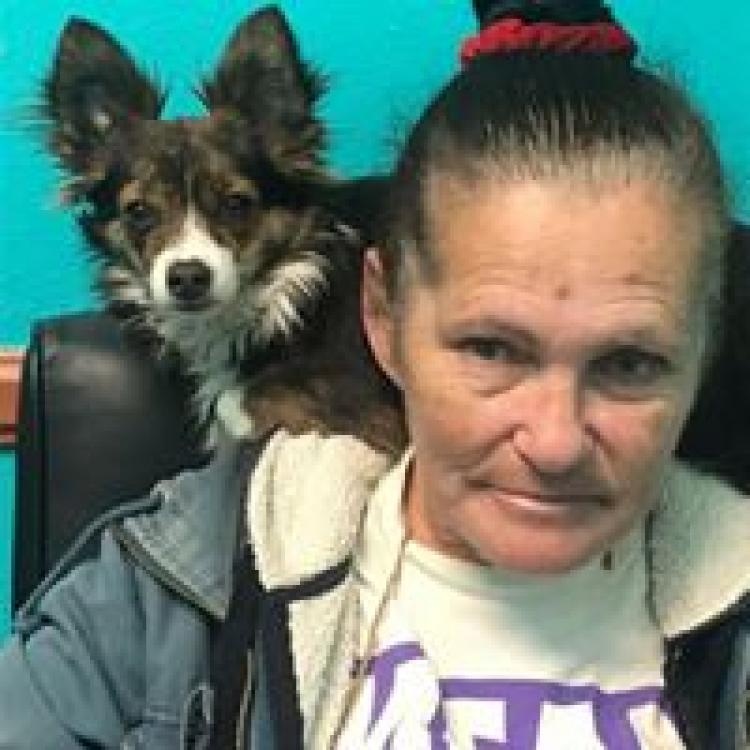 Seacoast Pet Clinic Imperial Beach Ca