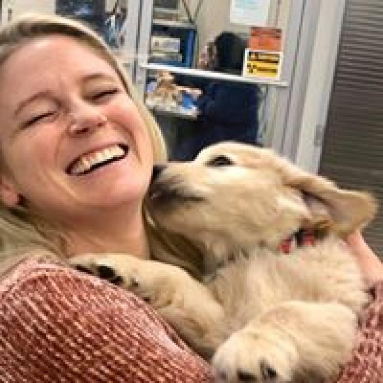 Animal Emergency And Specialty Center Knoxville Knoxville Tn