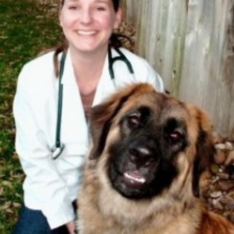 lynn veterinary clinic