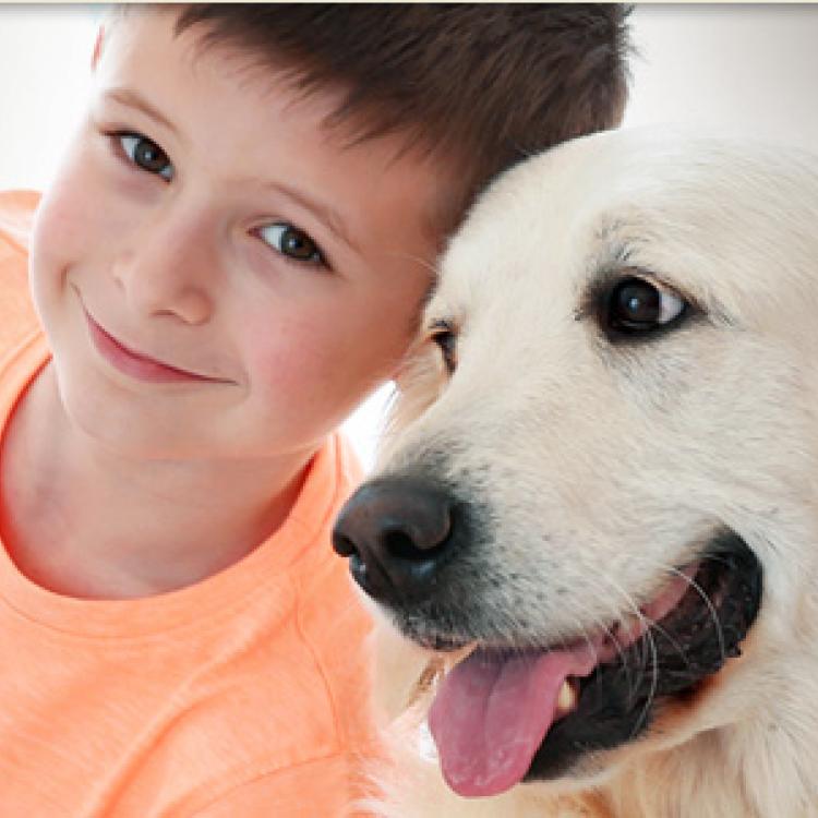 pet and bird hospital