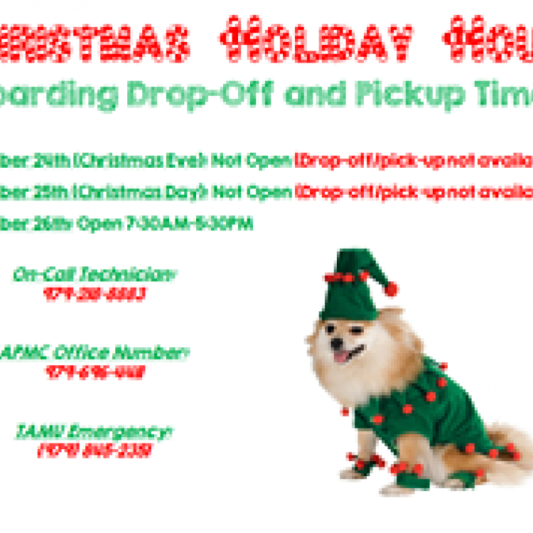 All Pets Medical Laser Surgical Center College Station Tx